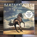 Bruce Springsteen - Western Stars - 2 x Vinyl LP. This is a product listing from Released Records Leeds, specialists in new, rare & preloved vinyl records.