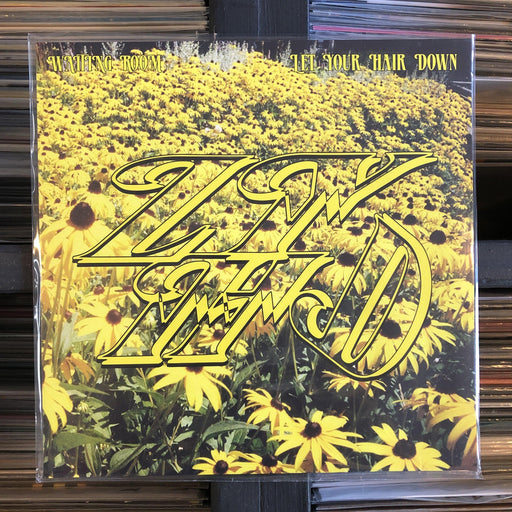 Let Your Hair Down - Waiting Room - Vinyl LP. This is a product listing from Released Records Leeds, specialists in new, rare & preloved vinyl records.
