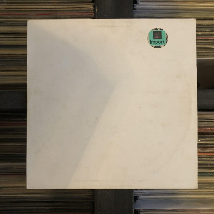 Bizz Nizz - We're Gonna Catch You! - 12" Vinyl. This is a product listing from Released Records Leeds, specialists in new, rare & preloved vinyl records.