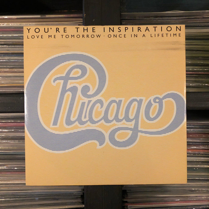 Chicago - You're The Inspiration - 12" Vinyl. This is a product listing from Released Records Leeds, specialists in new, rare & preloved vinyl records.