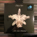 Kings Of Leon - Aha Shake Heartbreak - Vinyl LP. This is a product listing from Released Records Leeds, specialists in new, rare & preloved vinyl records.