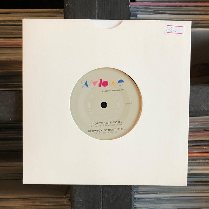 Wyllowe - Fortunate Fool - 7" Vinyl. This is a product listing from Released Records Leeds, specialists in new, rare & preloved vinyl records.