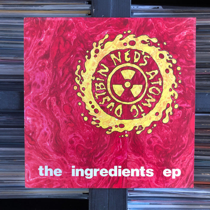 Ned's Atomic Dustbin - The Ingredients EP. This is a product listing from Released Records Leeds, specialists in new, rare & preloved vinyl records.