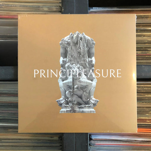 Principleasure - II. This is a product listing from Released Records Leeds, specialists in new, rare & preloved vinyl records.