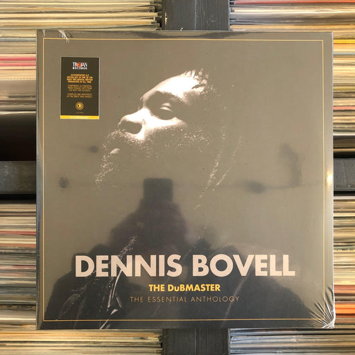 Dennis Bovell - The Dubmaster: The Essential Anthology - 2 X Vinyl LP. This is a product listing from Released Records Leeds, specialists in new, rare & preloved vinyl records.