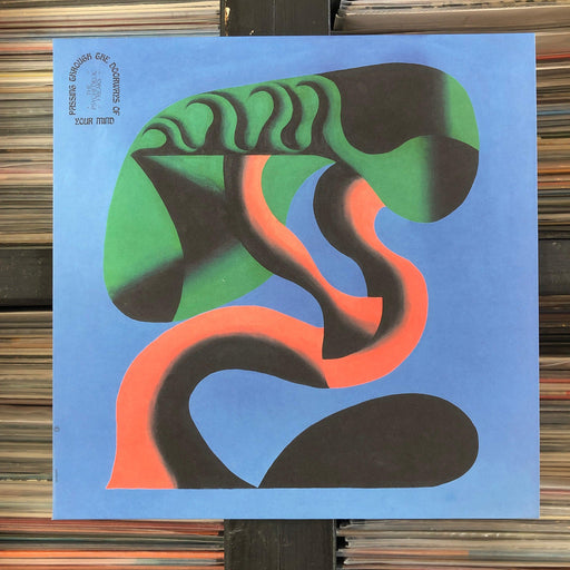 The Psychedelic Freaks – Passing Through The Doorways Of Your Mind - Vinyl LP. This is a product listing from Released Records Leeds, specialists in new, rare & preloved vinyl records.