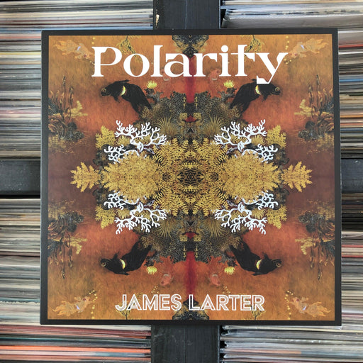 James Larter - Polarity - Vinyl LP. This is a product listing from Released Records Leeds, specialists in new, rare & preloved vinyl records.
