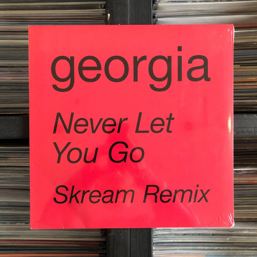 GEoRGiA – Never Let You Go (Skream Remix) - 12" Vinyl 21.05.22. This is a product listing from Released Records Leeds, specialists in new, rare & preloved vinyl records.