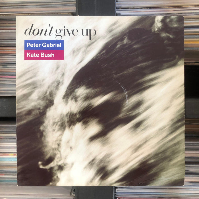 Peter Gabriel / Kate Bush - Don't Give Up - 12" Vinyl. This is a product listing from Released Records Leeds, specialists in new, rare & preloved vinyl records.