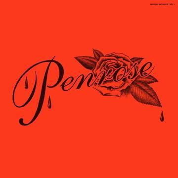 Various Artists - Penrose Showcase Vol 1 - Vinyl LP Clear Vinyl. This is a product listing from Released Records Leeds, specialists in new, rare & preloved vinyl records.