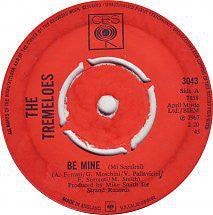 The Tremeloes - Be Mine (Mi Seguirai) - 7" Vinyl. This is a product listing from Released Records Leeds, specialists in new, rare & preloved vinyl records.