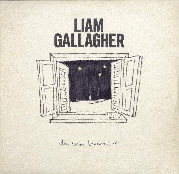 Liam Gallagher - All You're Dreaming Of... (1 x LP/White). This is a product listing from Released Records Leeds, specialists in new, rare & preloved vinyl records.
