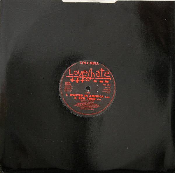 Love/Hate - Wasted In America - 12" Vinyl. This is a product listing from Released Records Leeds, specialists in new, rare & preloved vinyl records.