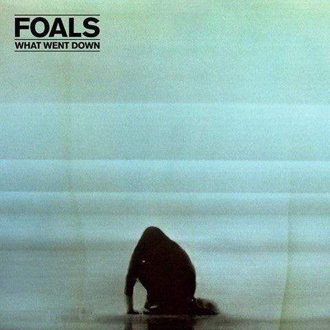 Foals - What Went Down - Vinyl LP. This is a product listing from Released Records Leeds, specialists in new, rare & preloved vinyl records.