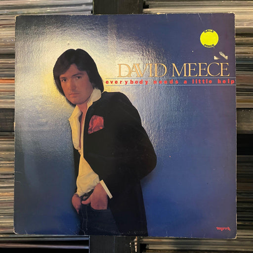 David Meece - Everybody Needs A Little Help - Vinyl LP 04.02.23