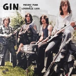 GIN - Pseudo Funk - 7. This is a product listing from Released Records Leeds, specialists in new, rare & preloved vinyl records.
