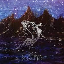 David Gray - Skellig - 2 x Vinyl LP. This is a product listing from Released Records Leeds, specialists in new, rare & preloved vinyl records.