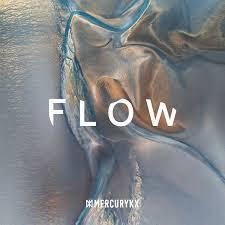 Various Artists - Flow. This is a product listing from Released Records Leeds, specialists in new, rare & preloved vinyl records.