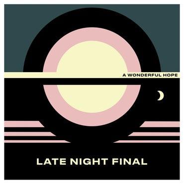 Late Night Final - A Wonderful Hope - Vinyl LP. This is a product listing from Released Records Leeds, specialists in new, rare & preloved vinyl records.