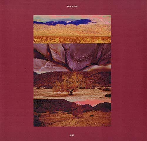 Tortusa - Bre - Vinyl LP. This is a product listing from Released Records Leeds, specialists in new, rare & preloved vinyl records.
